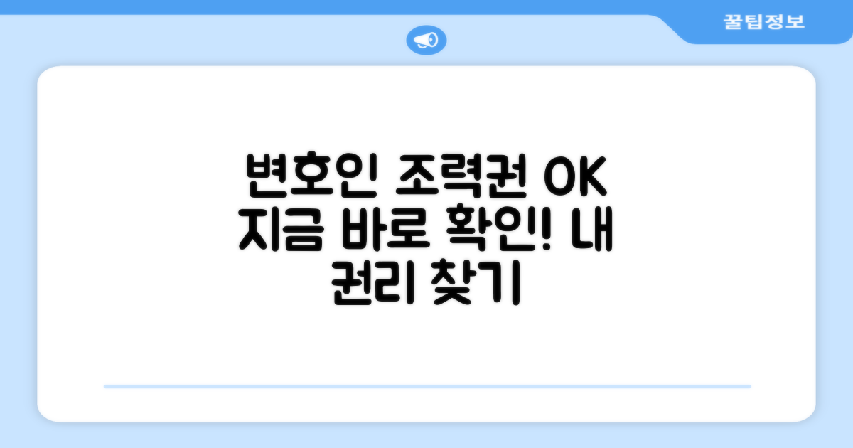 변호인 조력 받을 권리 확인