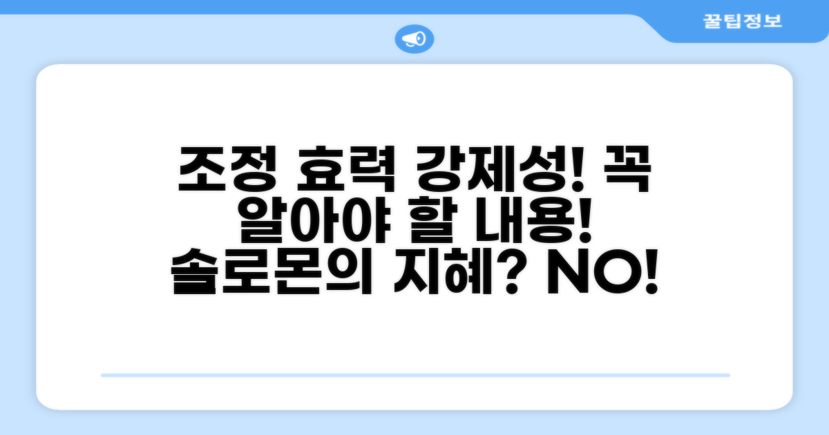 조정 결정의 효력과 강제성 확인
