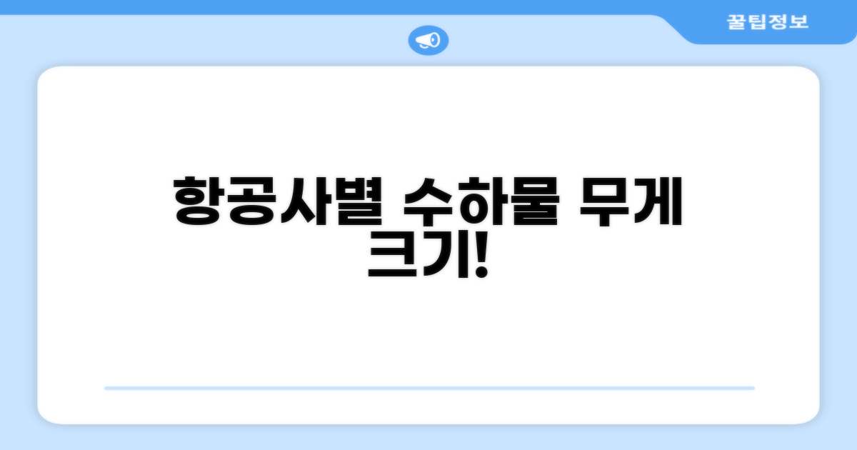 항공사별 수하물 무게와 크기 확인