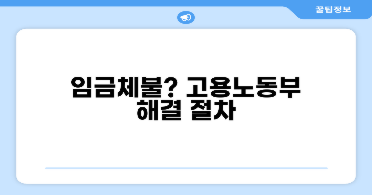 임금체불, 고용노동부 해결 절차