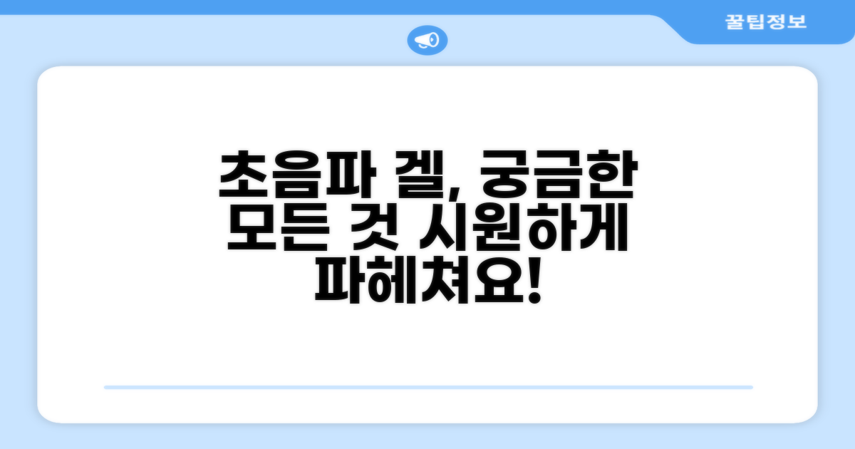 초음파 겔, 이것이 궁금해요