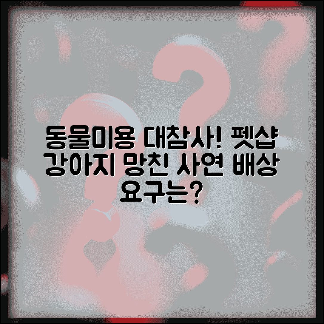 동물미용 시술 실패 | 펫샵 강아지 미용 실패 배상