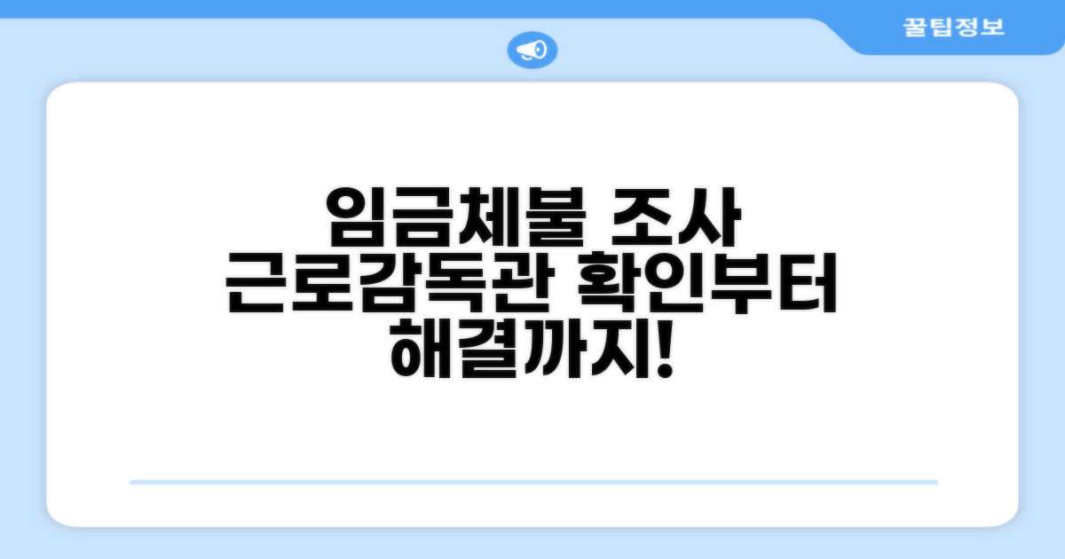 임금체불 근로감독관 조사 과정