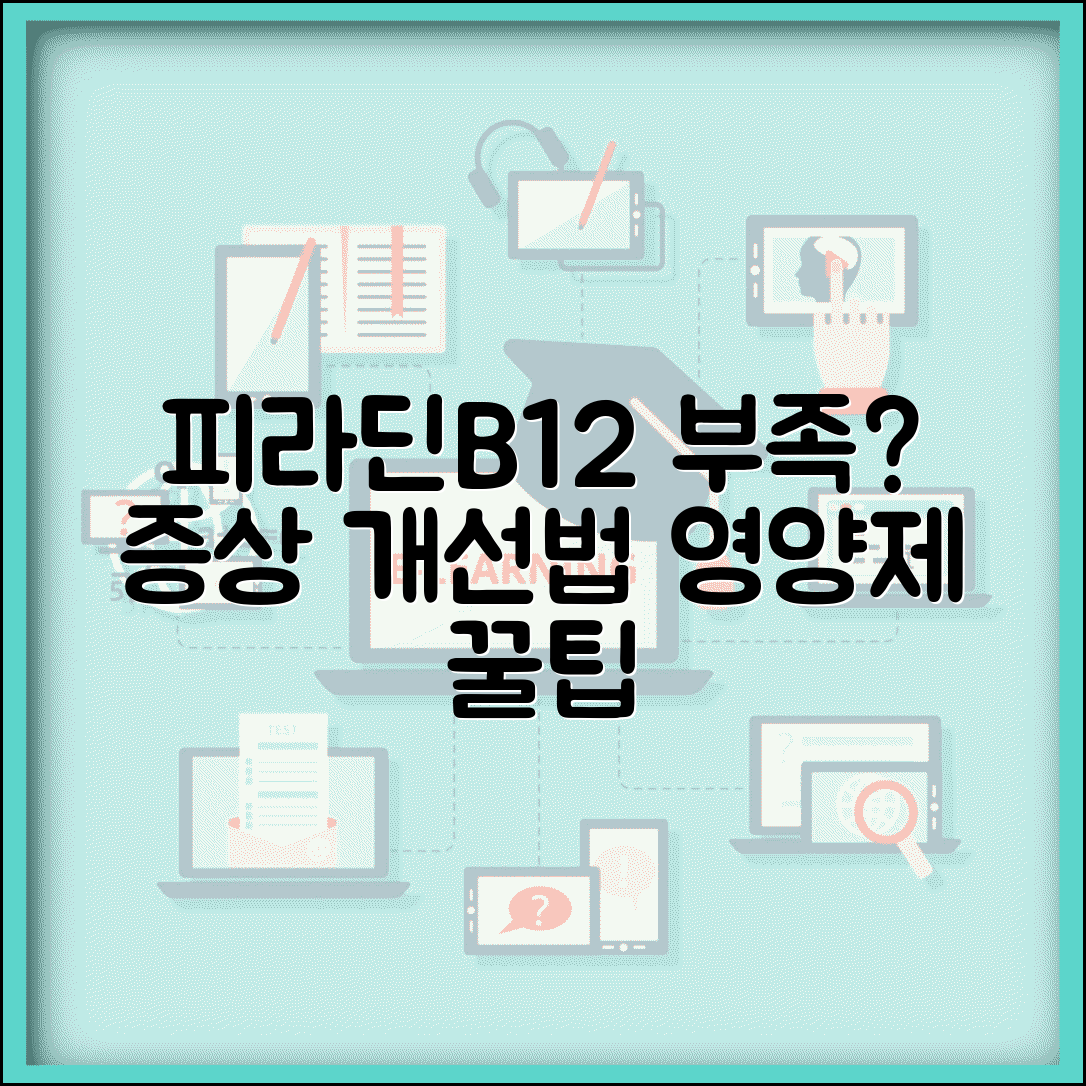 피라딘B12 결핍 증상 및 개선 | 피라딘B12 형성 방어, 영양제 섭취법