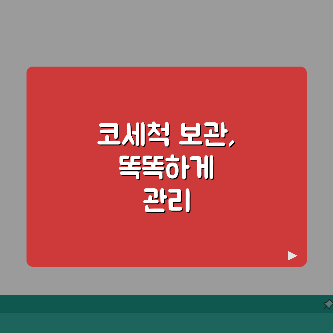 코세척 보관용품 선택 | 위생적인 보관을 위한 필수품목 A to Z: 7가지 핵심 품목