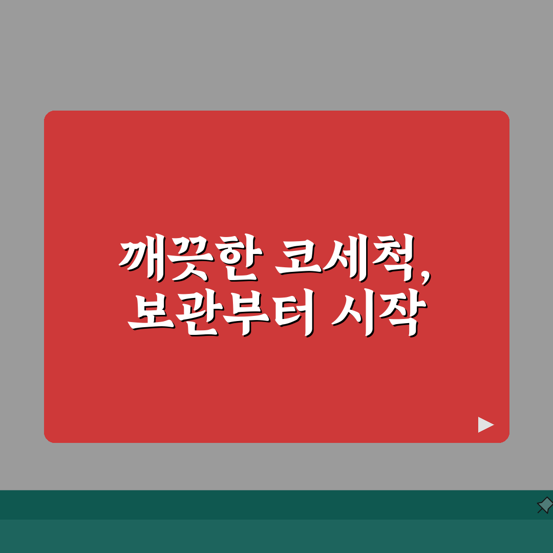 코세척 보관용품 선택 | 위생적인 보관을 위한 필수품목 A to Z: 7가지 핵심 품목