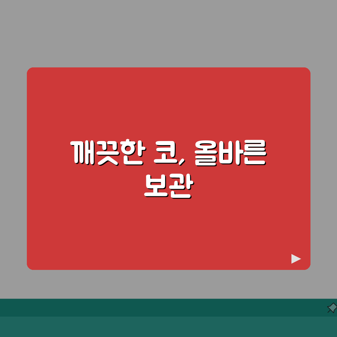 코세척 보관용품 선택 | 위생적인 보관을 위한 필수품목 A to Z: 7가지 핵심 품목