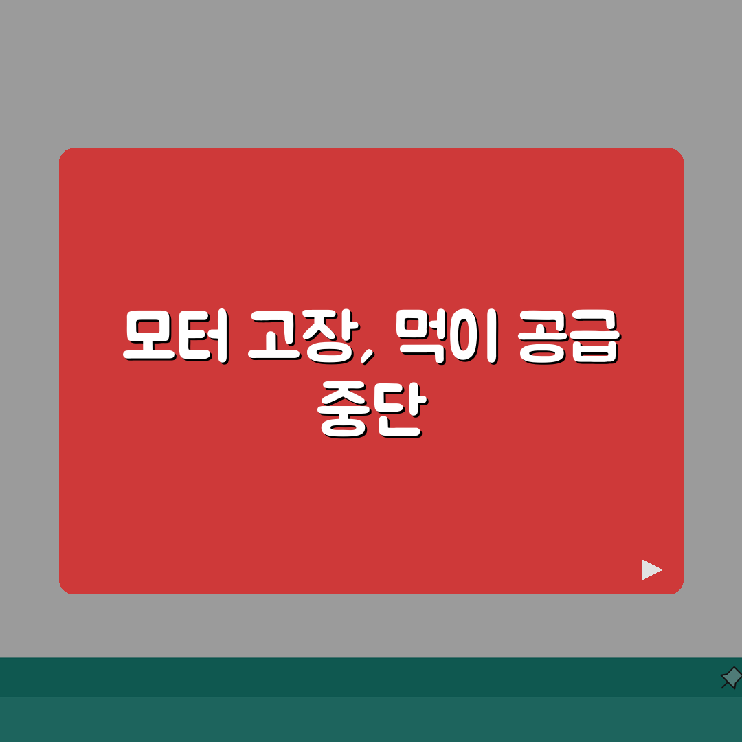 자동 급이기 모터 고장 | 피쉬 피더 먹이 공급 안됨, 이거 알려드려요!