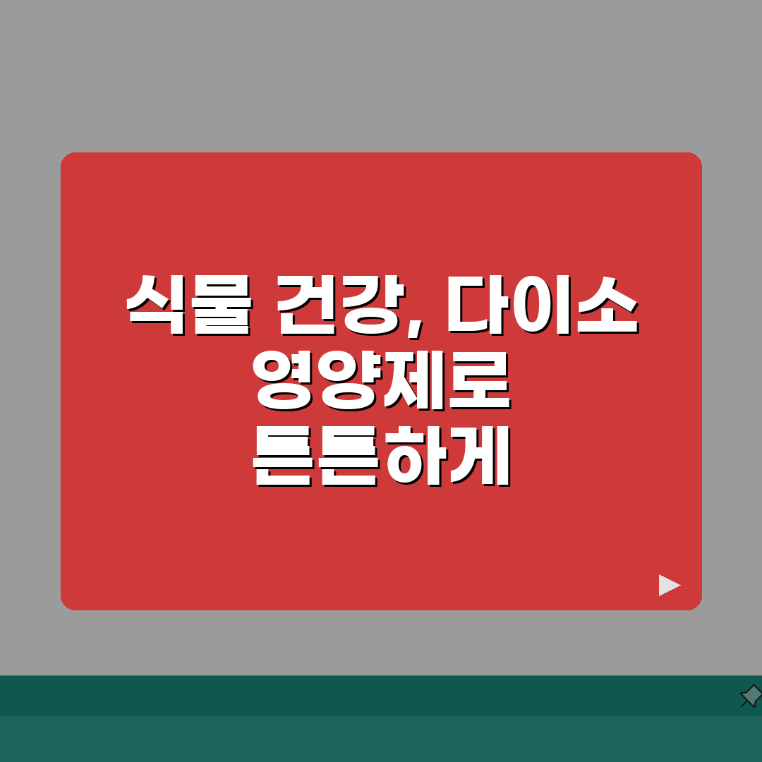 다이소 식물영양제 효과 분석 | 식물 종류별 추천 | 희석 비율 최적화 방법 꿀팁 공유해요